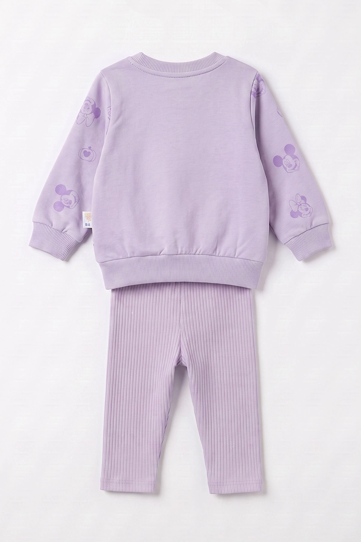 Lila (6-24 Ay) Süzene Karakter Nakışlı Sweat ve Fitilli Taytlı Kız Bebek 2'li Takım 472660