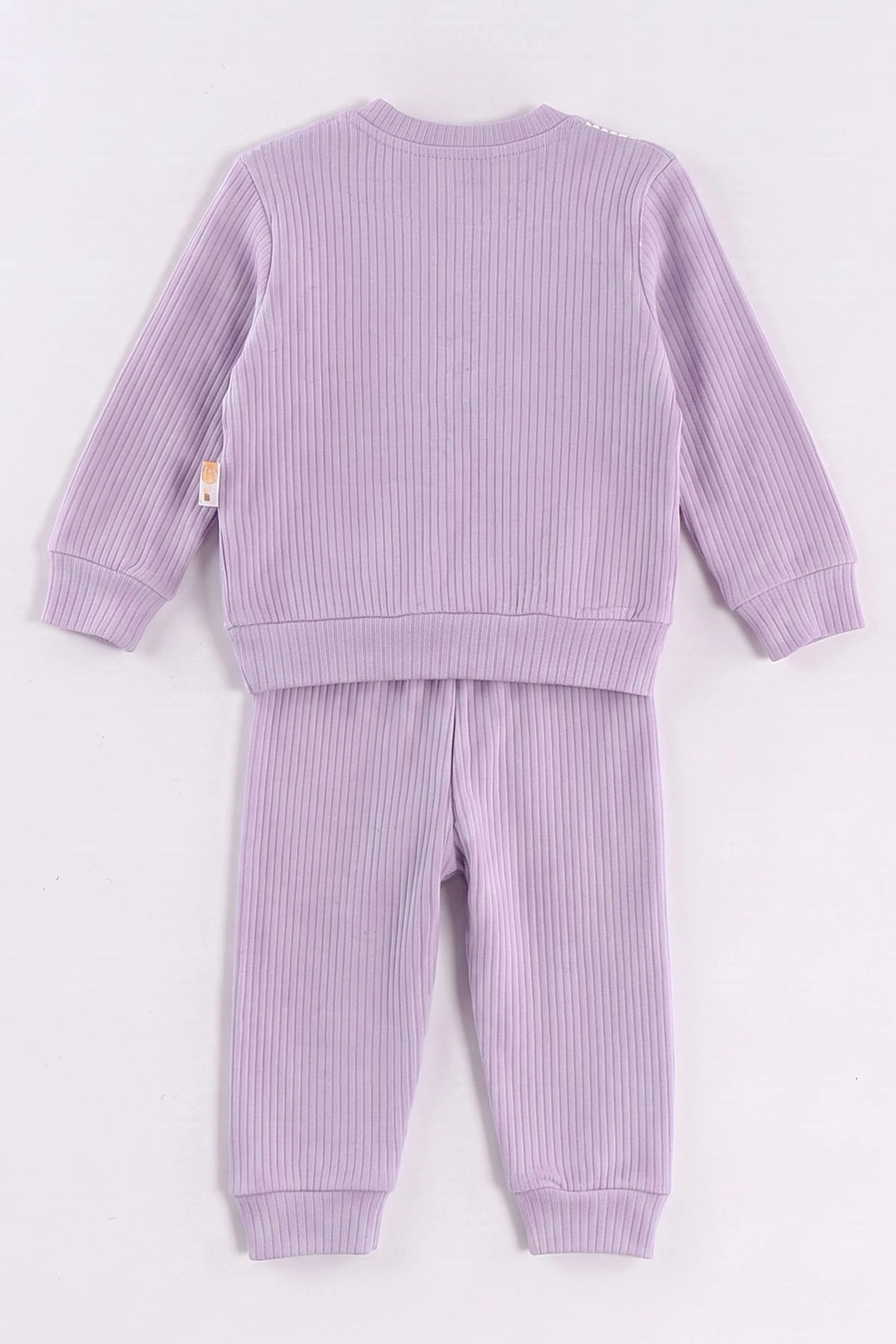 Lila (6-24 Ay) Süzene Nakışlı Kız Bebek 2'li Takım 472648
