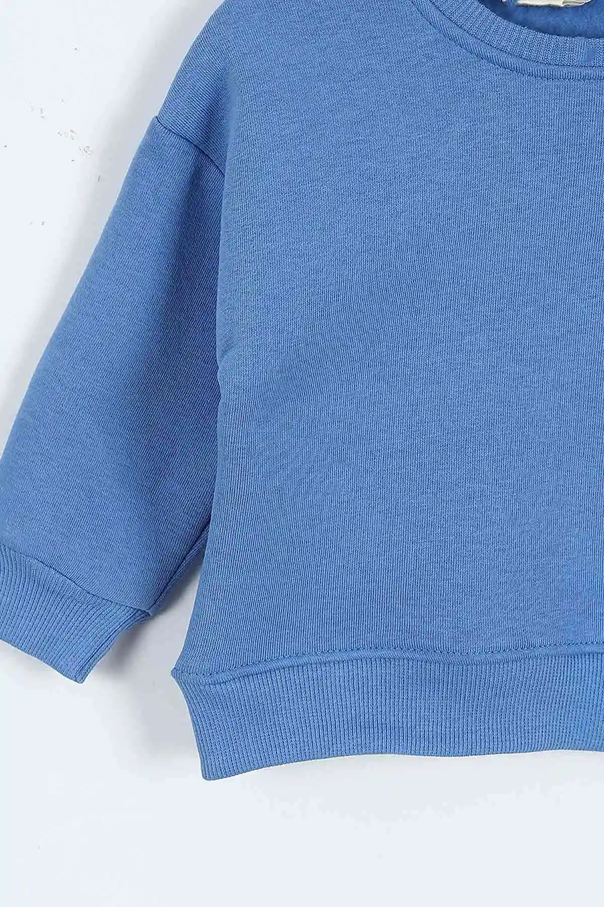 Mavi (0-4 Yaş)Rawr Baskılı  3  İp Şardonlu Erkek Çocuk Sweatshirt 415034