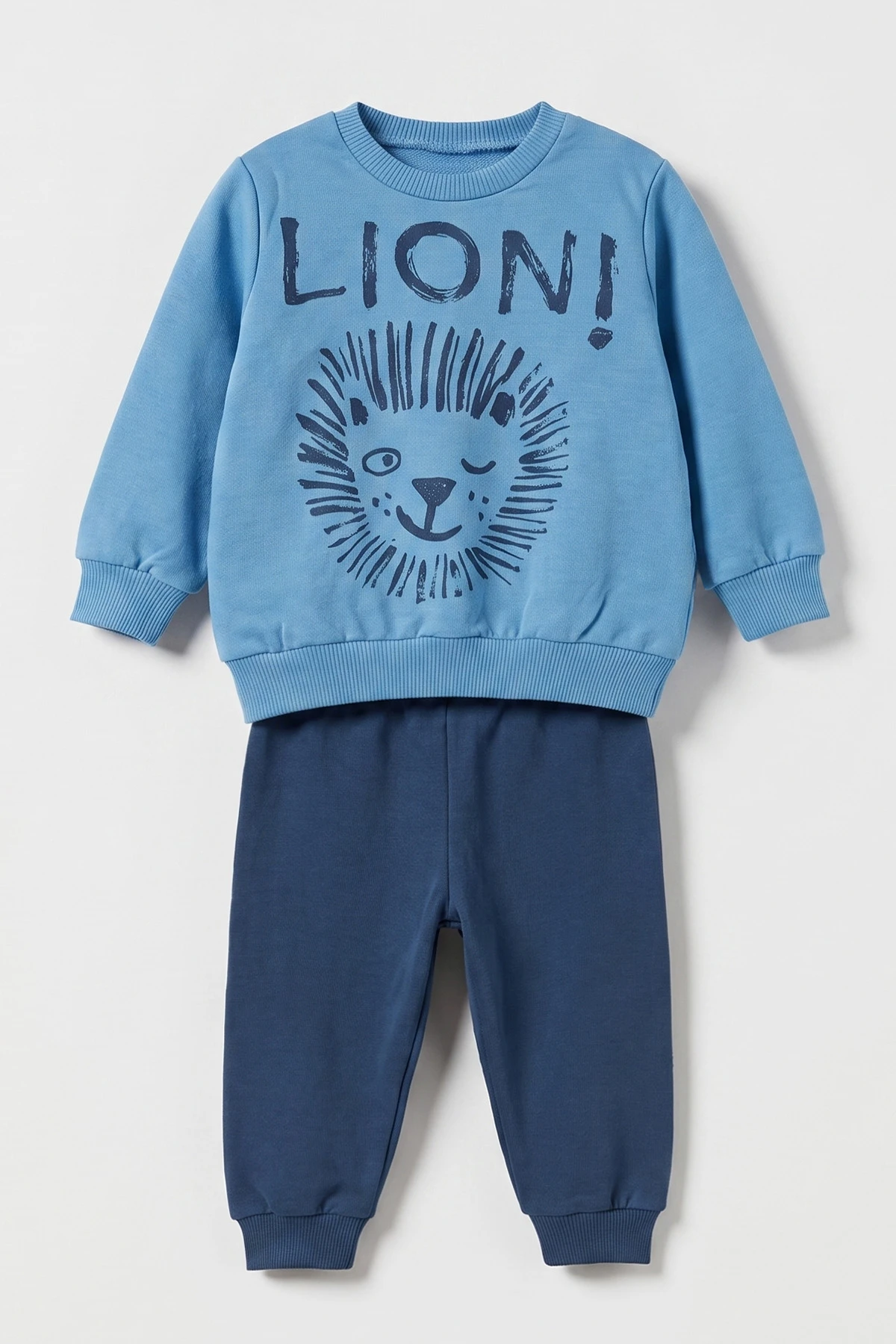Mavi (3-18 Ay) Lion  Baskılı 2 İp Erkek Bebek Mevsimlik Takım 481160