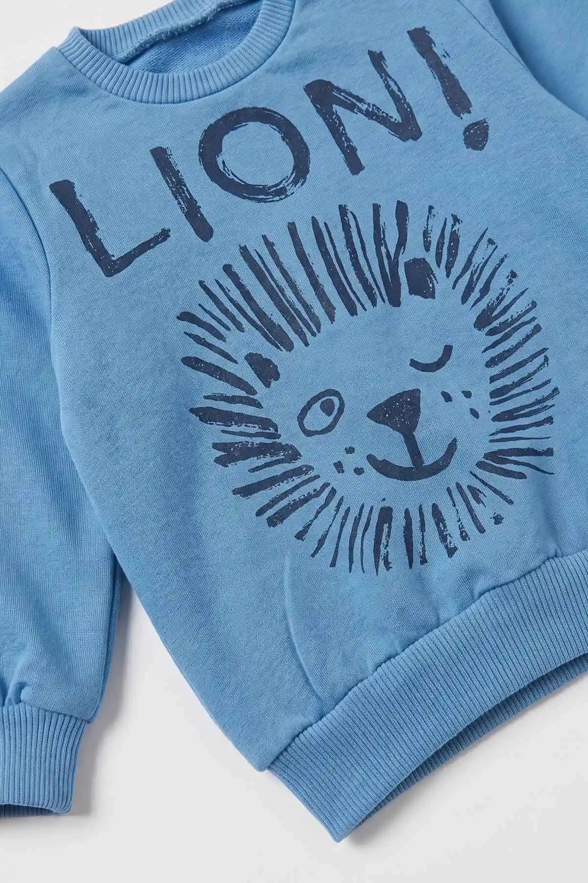 Mavi (3-18 Ay) Lion  Baskılı 2 İp Erkek Bebek Mevsimlik Takım 481160