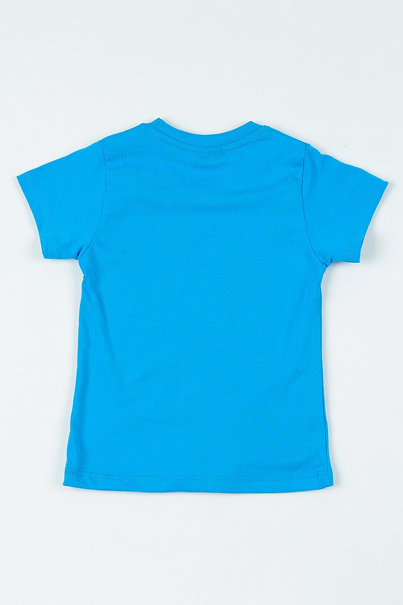 Mavi (3-7 yaş) Baskılı Erkek Çocuk Tişört 108267