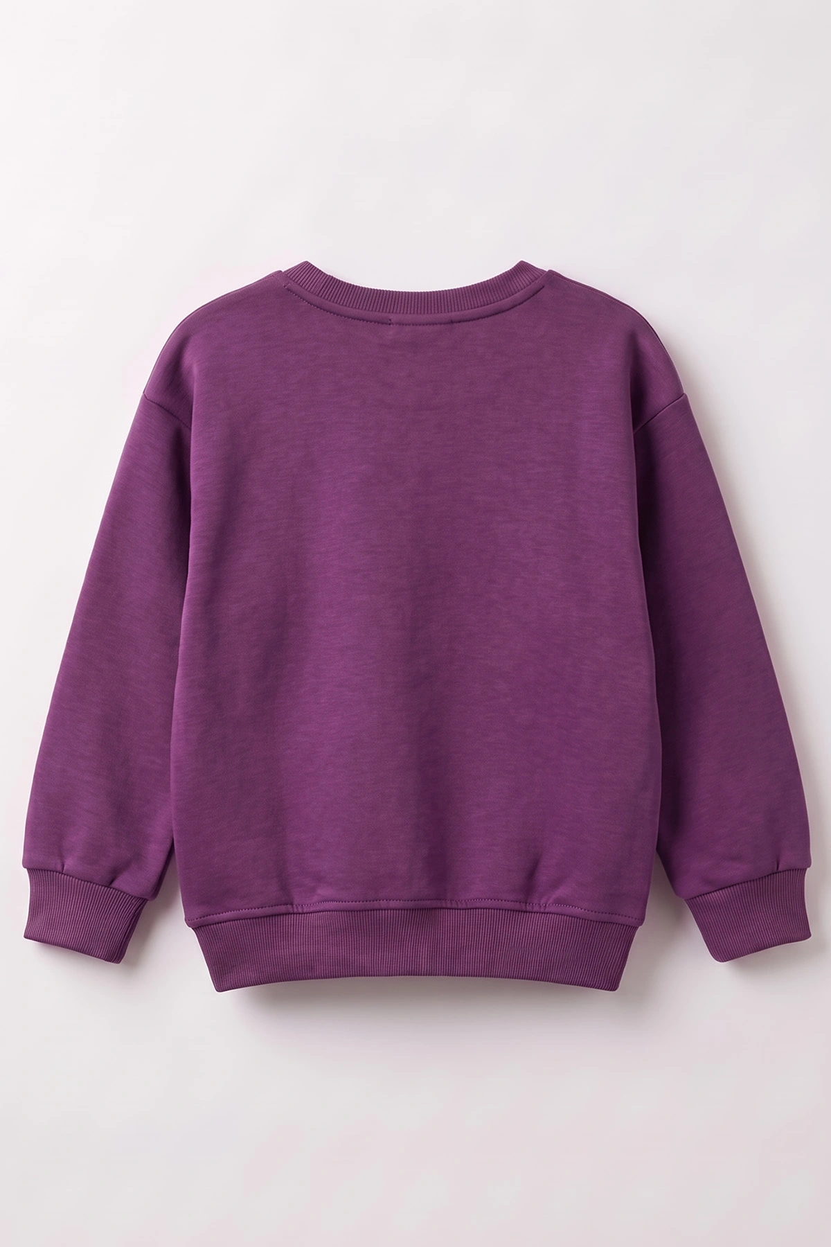 Mor (3-12 Yaş) Yaprak Nakışlı 3 İp Şardonlu Kız Çocuk Sweatshirt 478775