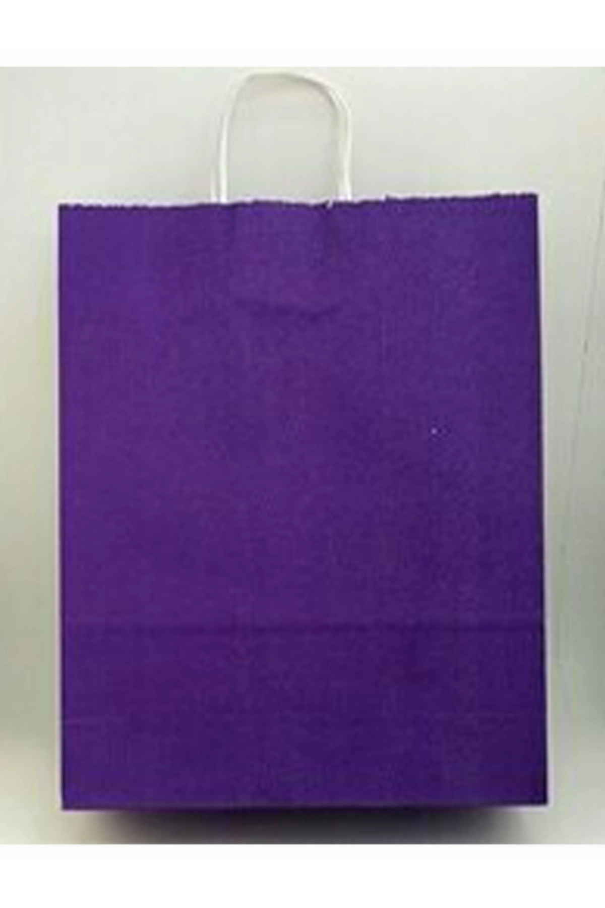 Mor 31x12x41 Büküm Saplı Çanta 5'li 301135