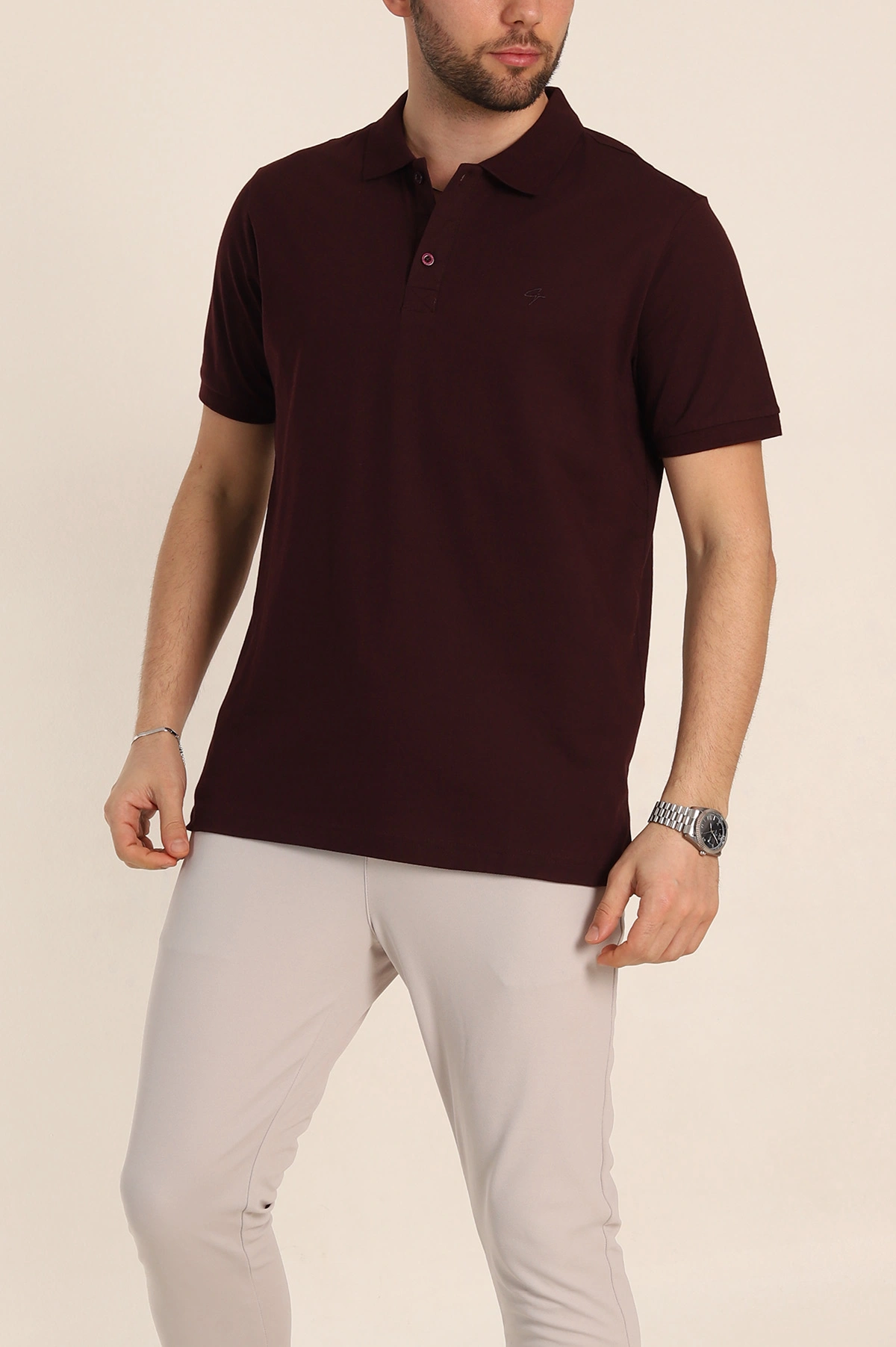 Mürdüm Regular Fit Basic Polo Yaka Erkek Tişört 342466