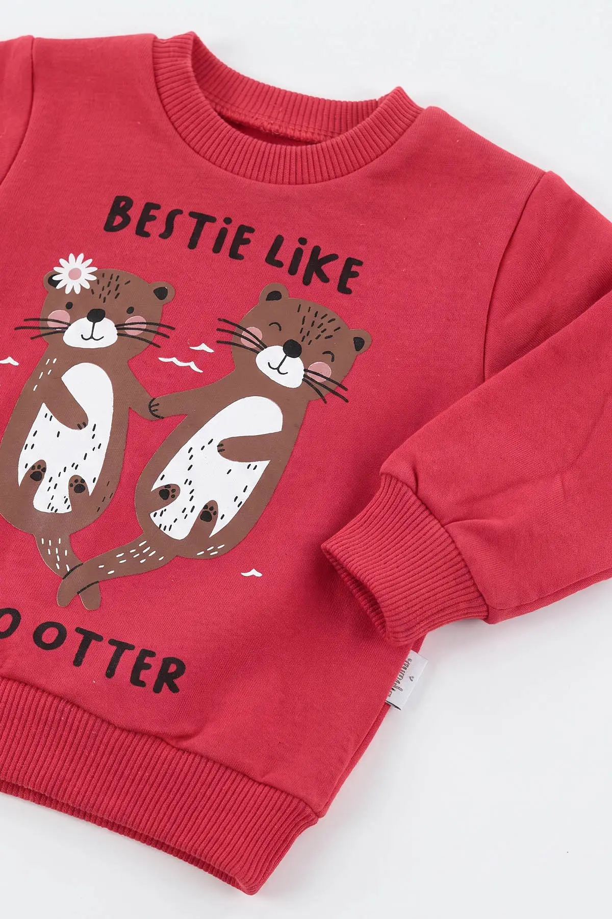 Nar Çiçeği (3-18 Ay) Bestie Like Baskılı 2 İp Kız Bebek Mevsimlik Takım 481145