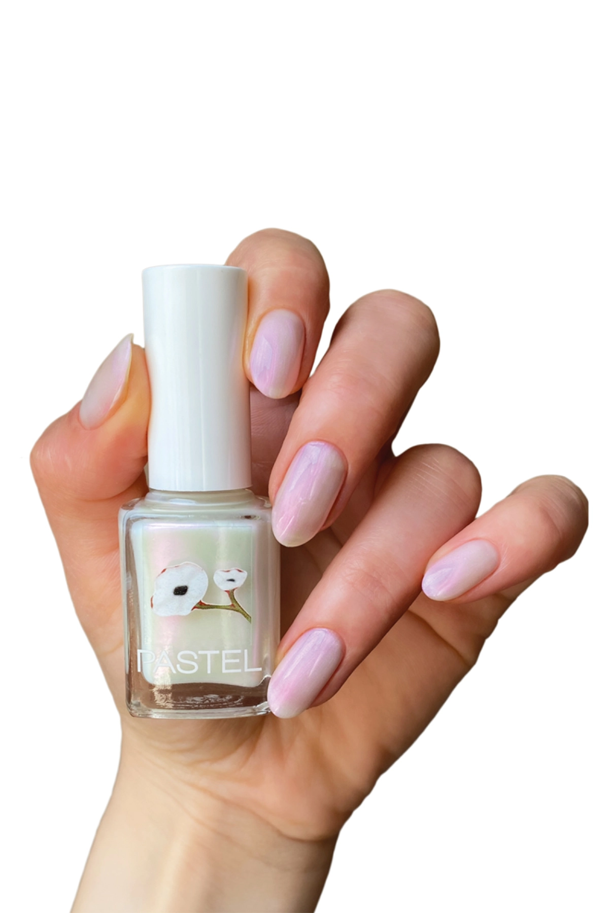 PASTEL OJE NO:409 279847