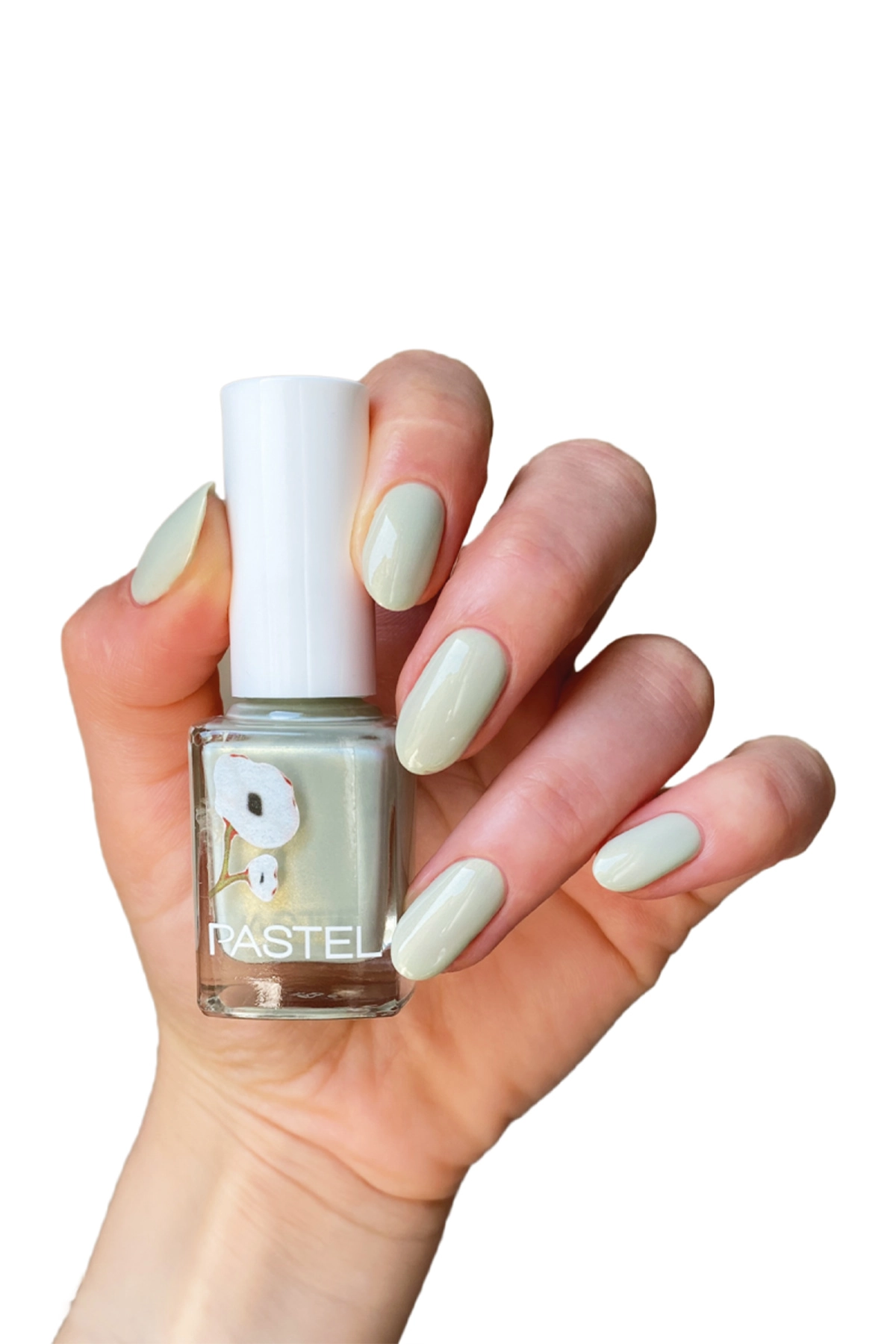 PASTEL OJE NO:412 279850