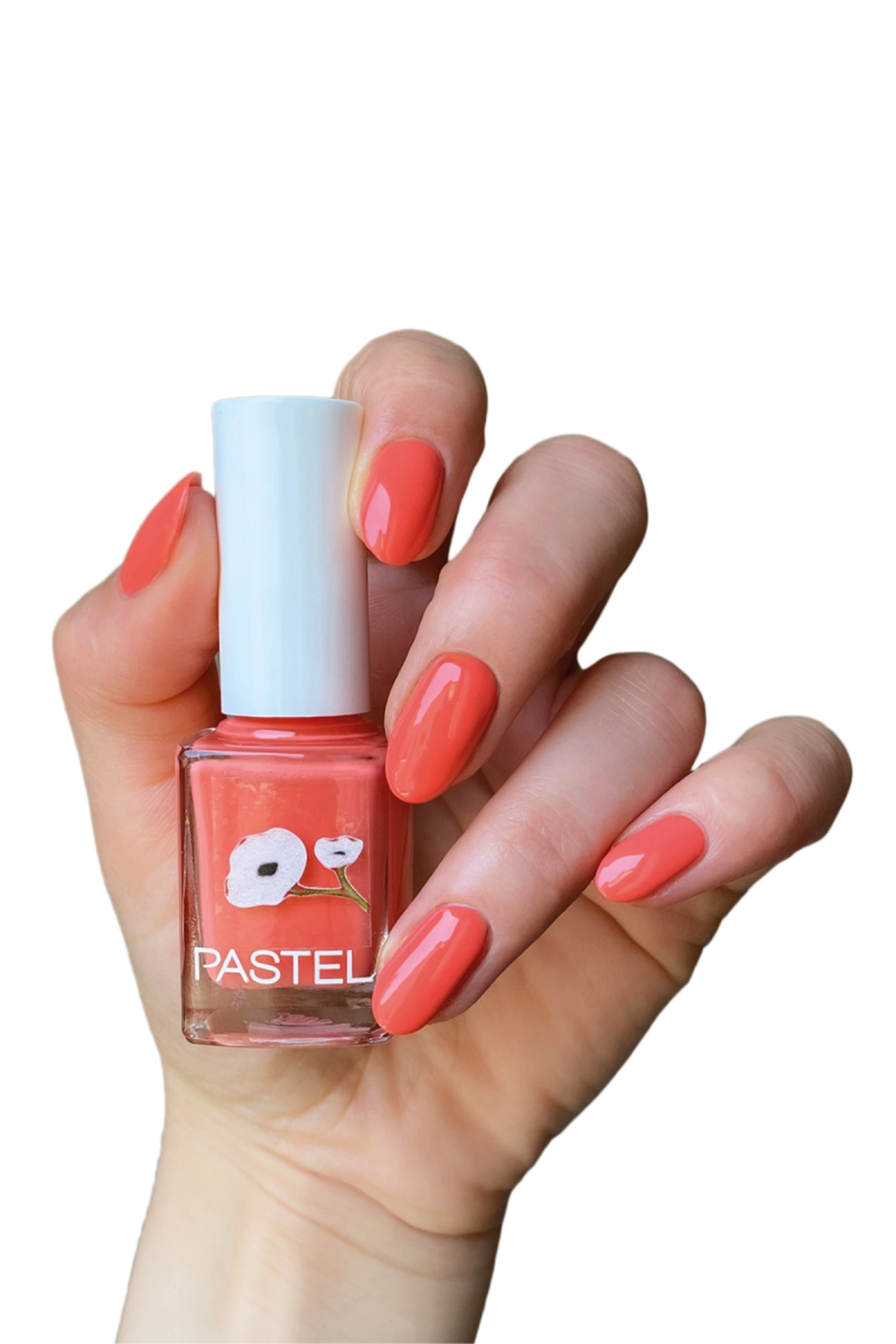 PASTEL OJE NO:418 279856