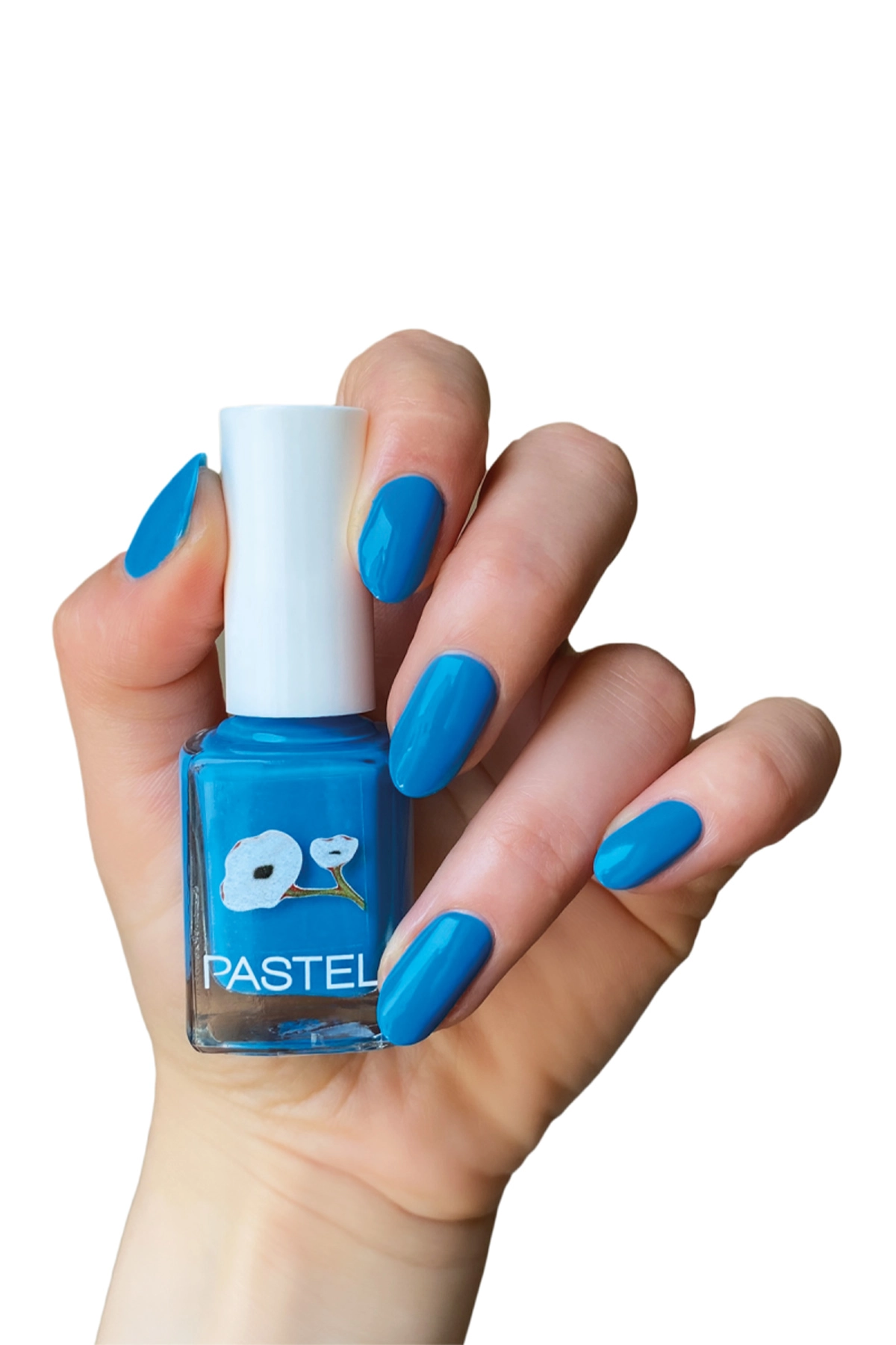 PASTEL OJE NO:420 279858