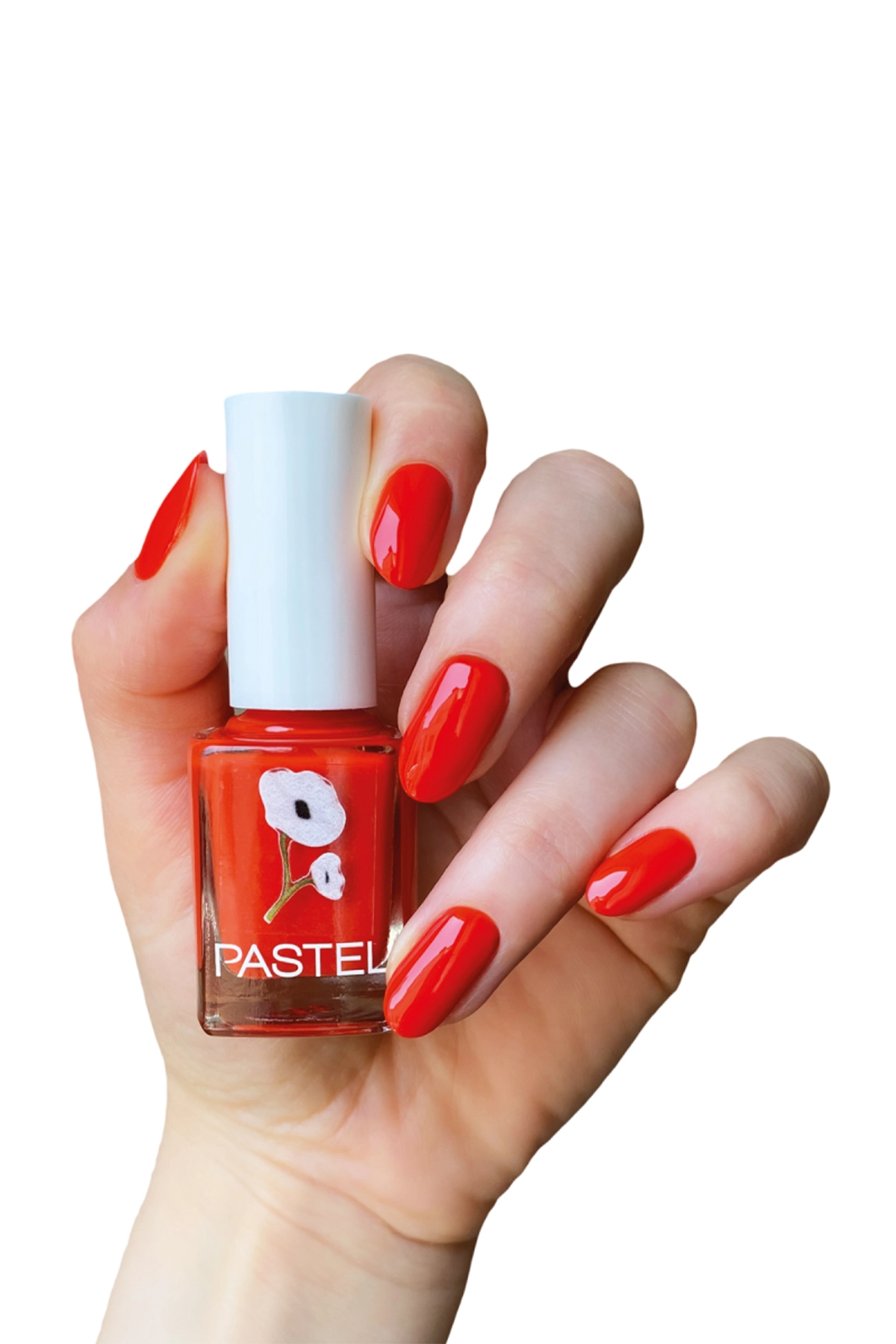 PASTEL OJE NO:421 279859