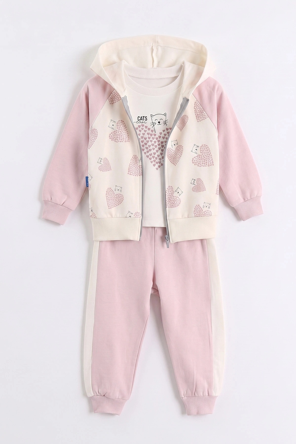 Pembe (0-4 Yaş) Kalp Baskılı Kapüşonlu Fermuarlı Hırkalı Kız Çocuk 2 İp 3'lü Takım 471477