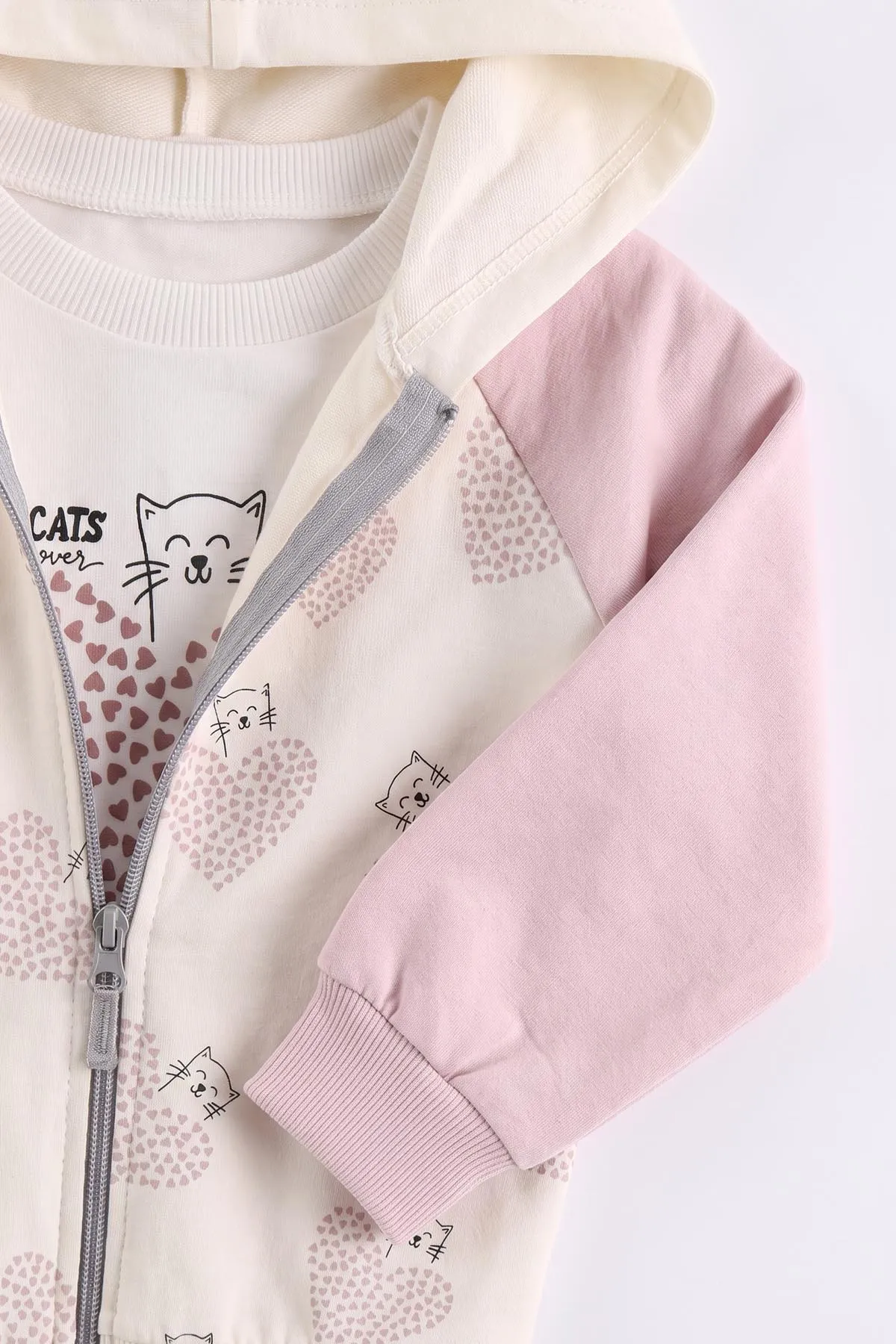 Pembe (0-4 Yaş) Kalp Baskılı Kapüşonlu Fermuarlı Hırkalı Kız Çocuk 2 İp 3'lü Takım 471477