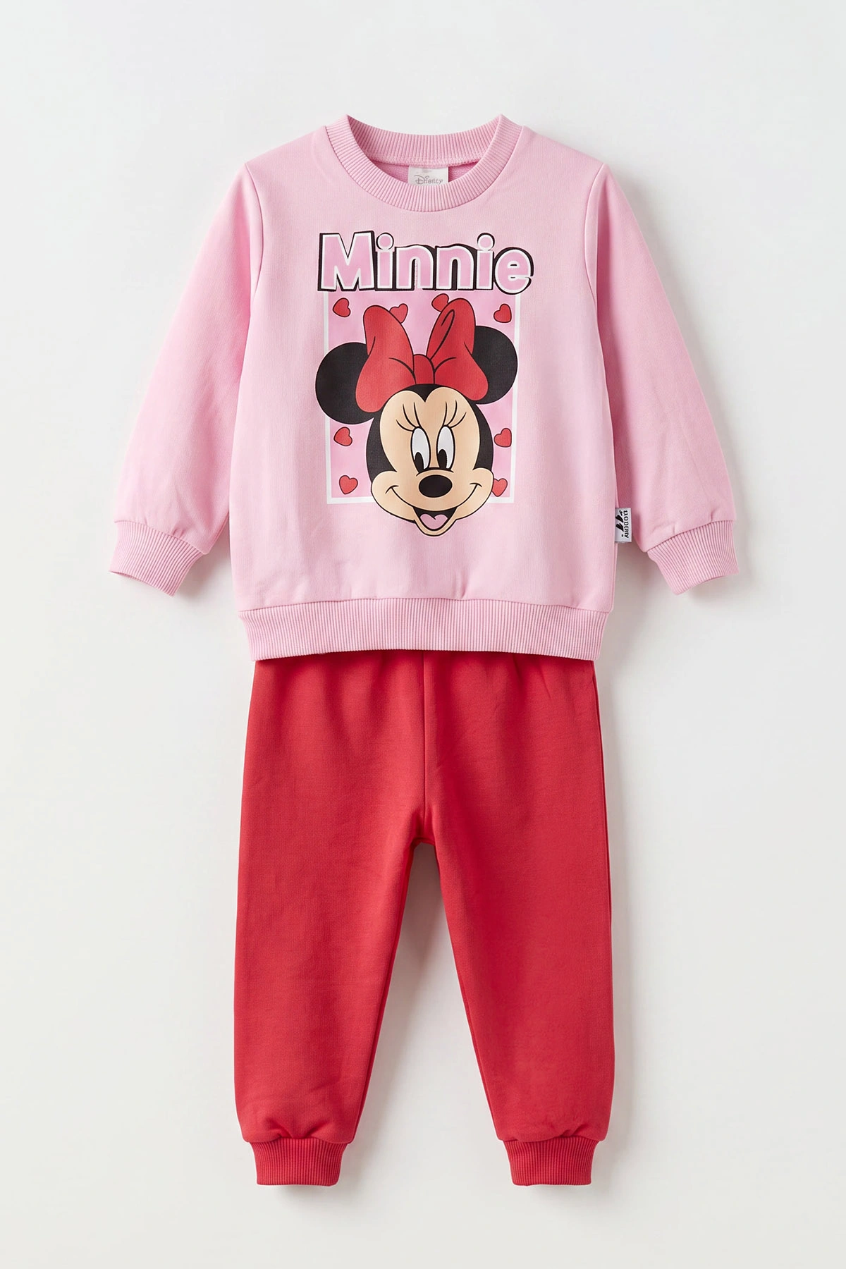 Pembe (0-4 Yaş) Karakter Baskılı 2 İp Kız Bebek&Çocuk Mevsimlik Takım 481075