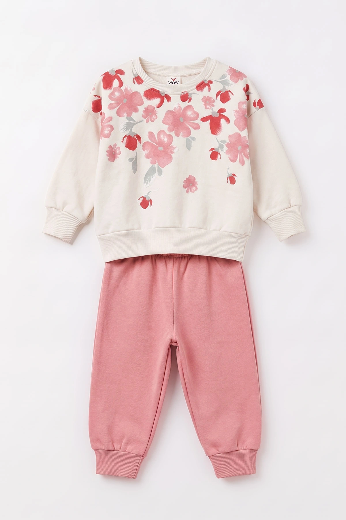 Pembe (1-4 Yaş) Yaka Çiçek Baskılı 3 İp Şardonlu Kız Bebek&Çocuk Kışlık Takım 497468