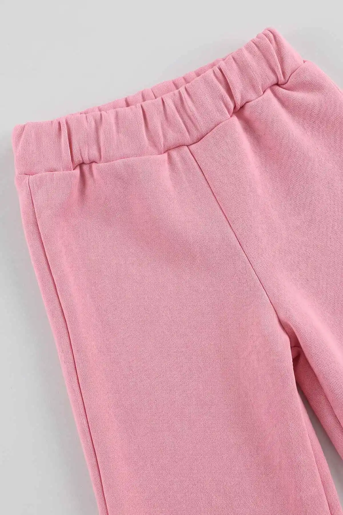 Pembe (1-5 Yaş) Peluş Aplike Nakışlı 3 İp Şardonlu Kız Çocuk Kışlık Takım 491217