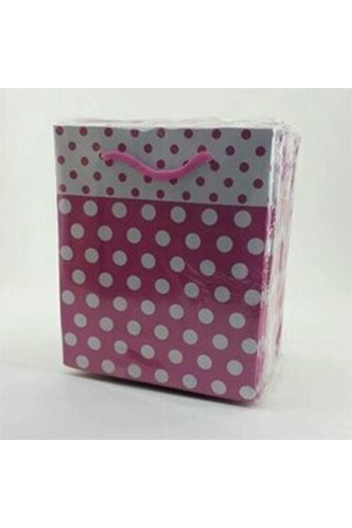 Pembe 14*17 Puantiyelli 5'li Çanta 302877