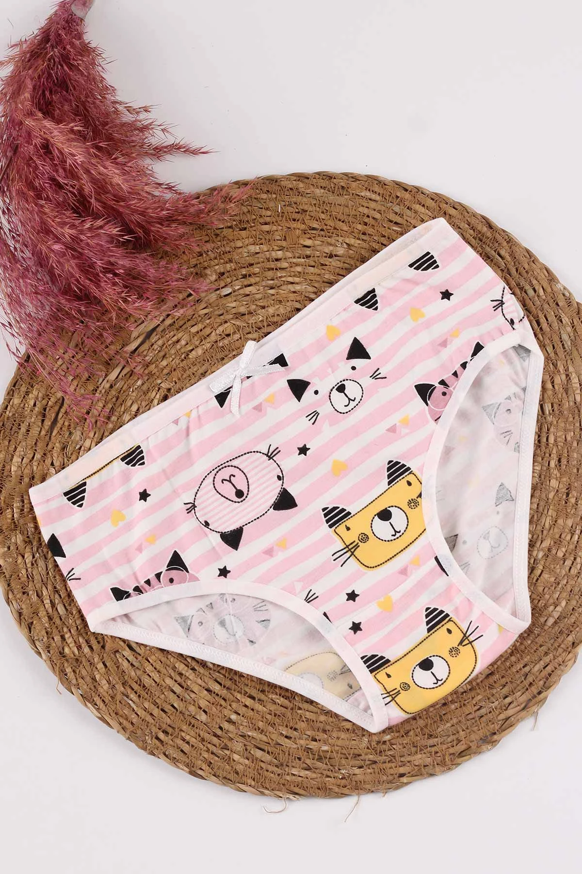 Pembe (2-11 Yaş) Baskılı Fiyonklu Kız Çocuk Külot 249517