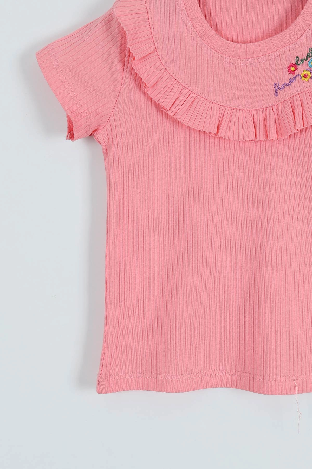 Pembe (2-11 Yaş) Nakışlı Kız Çocuk Tişört 276540