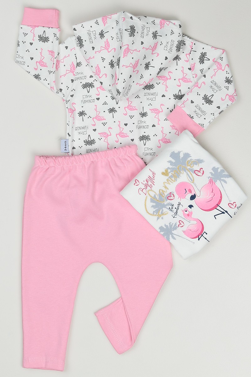 Pembe (3-18 Ay) Flamingo Baskılı Kız Çocuk Üçlü Takım 86069