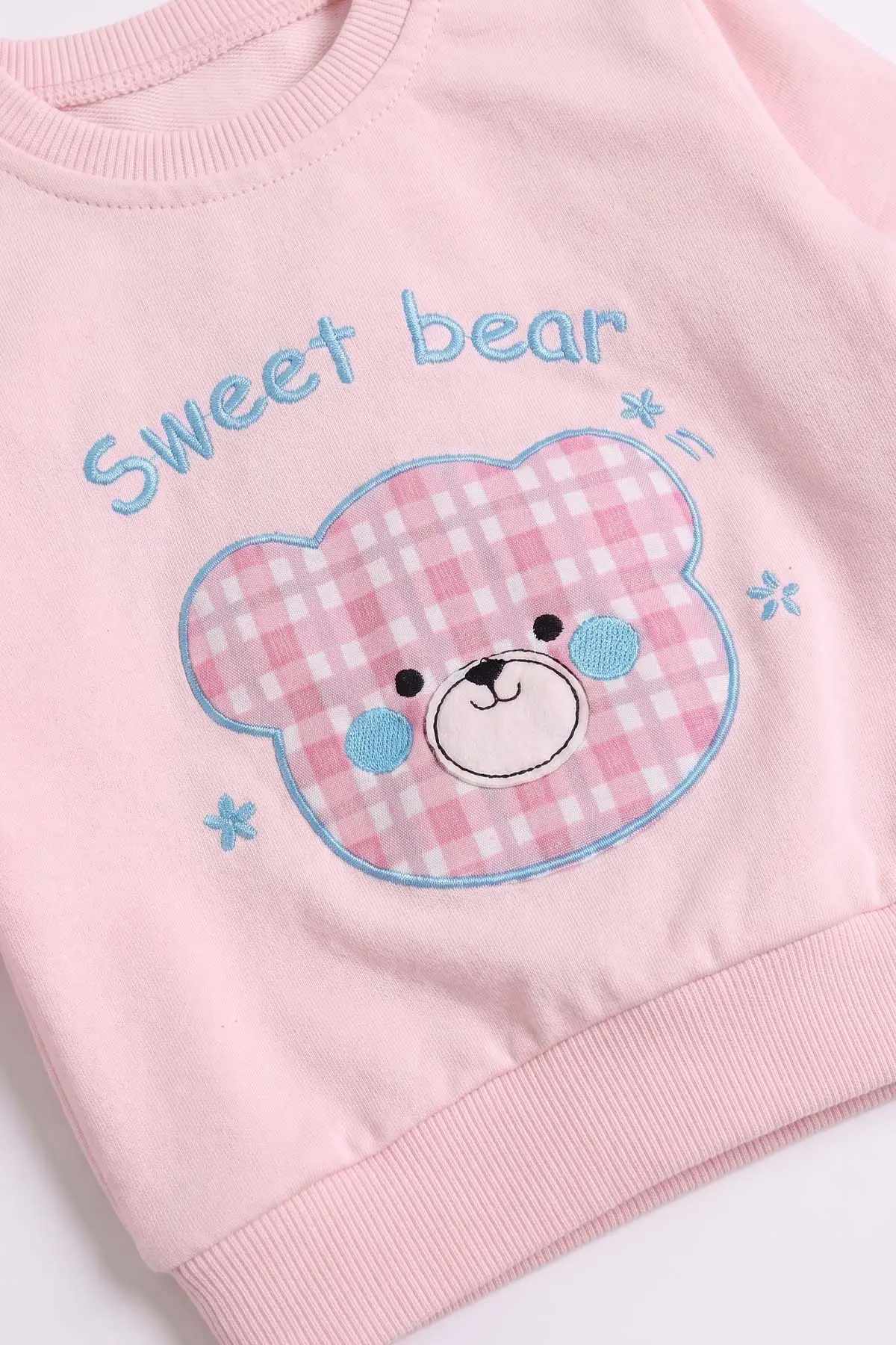 Pembe (3-24 Ay) Ayıcık Nakışlı 2 İp Kız Bebek Mevsimlik Takım 483855