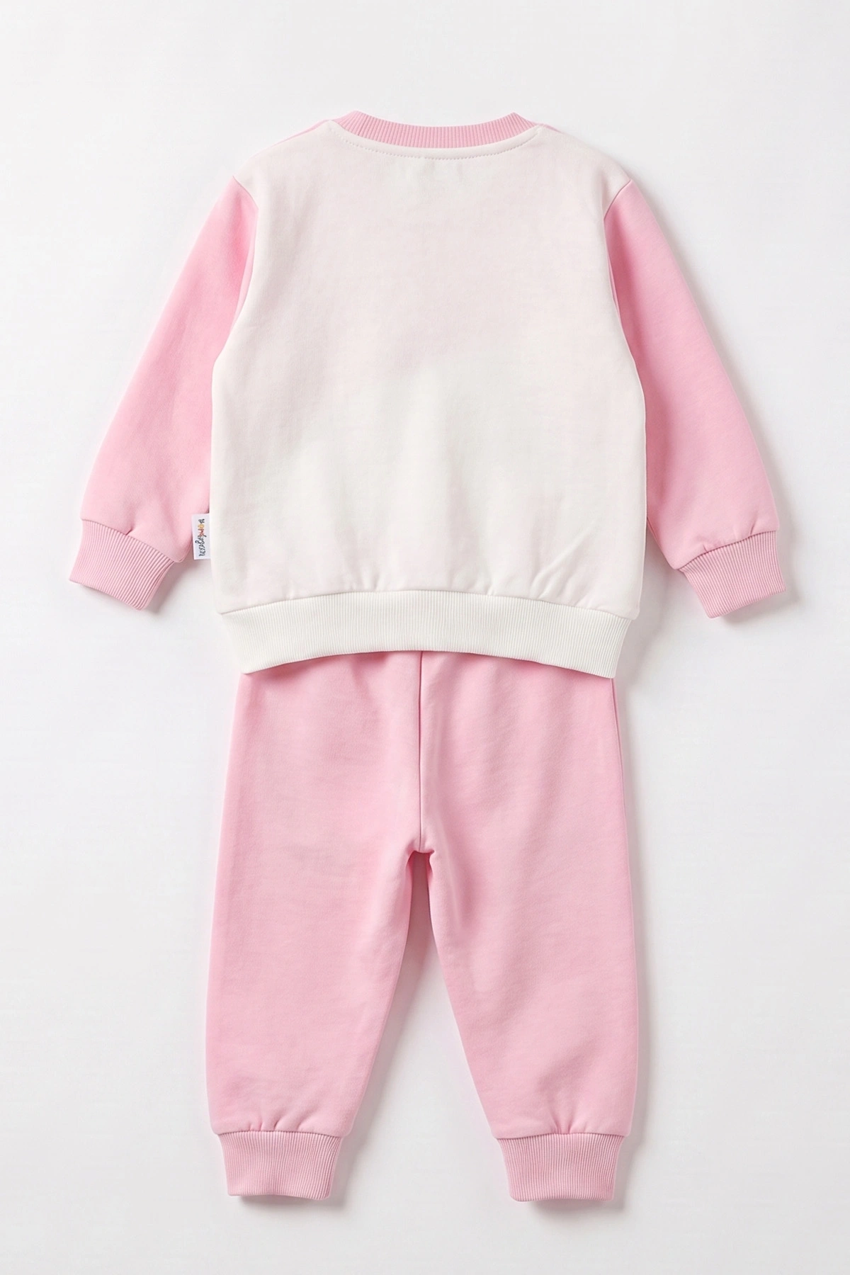 Pembe (3-24 Ay) Pati Baskılı Kız Bebek Mevsimlik Takım 472759