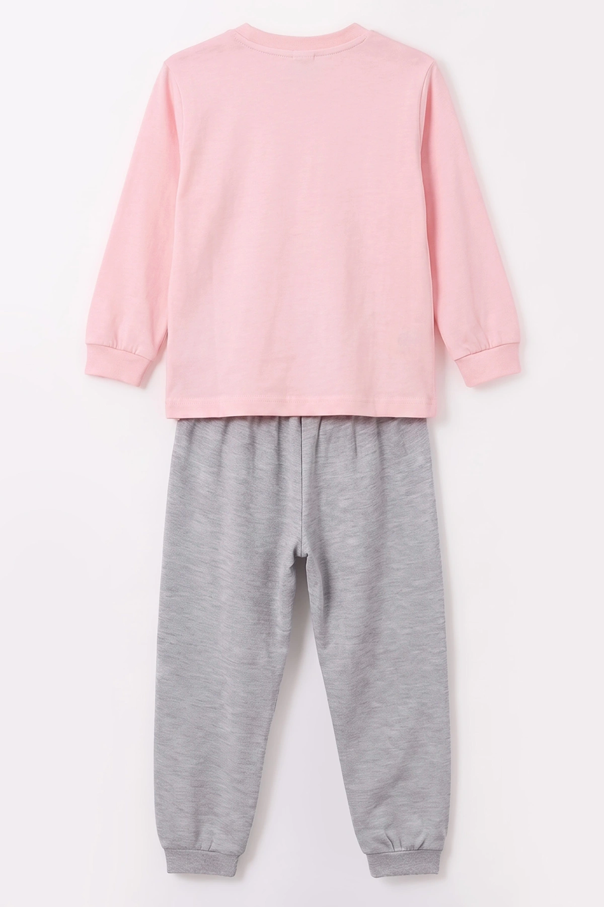 Pembe (3-8 Yaş) Karakter Baskılı İnterlok Kumaş Kız Çocuk Pijama Takım 491058