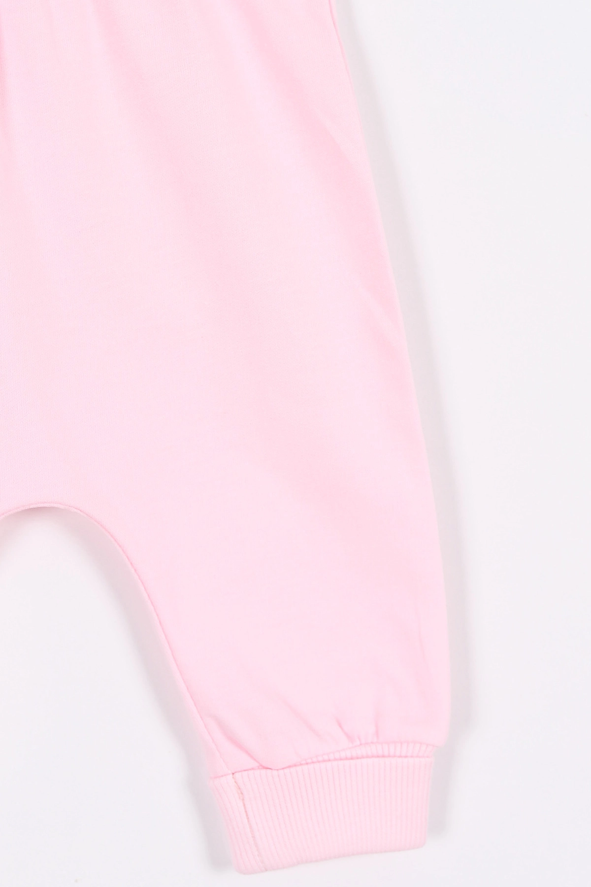 Pembe (3-9 Ay) Flowers Nakışlı Çiçek Desenli Kapüşonlu Kız Bebek Takım 279948