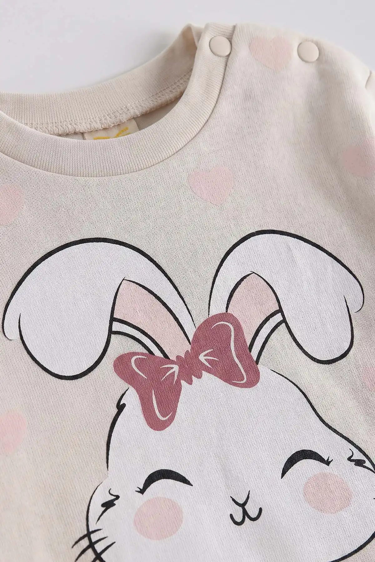 Pembe (6-18 Ay)Tavşan Baskılı Çıtçıtlı Çimalı Kız Bebek takım 477411