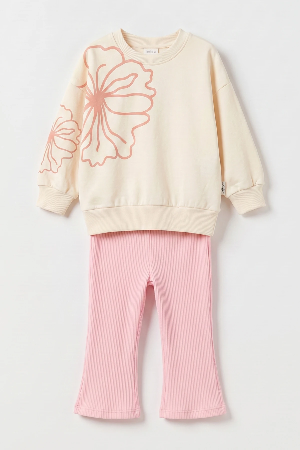 Pembe (6-24 Ay) Baskılı Alt Kadife Taytlı Kız Bebek Takım 481019