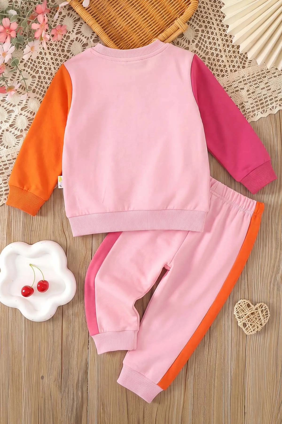 Pembe (6-24 Ay) Karakter Baskılı   2'li Kız Bebek Takım 472683