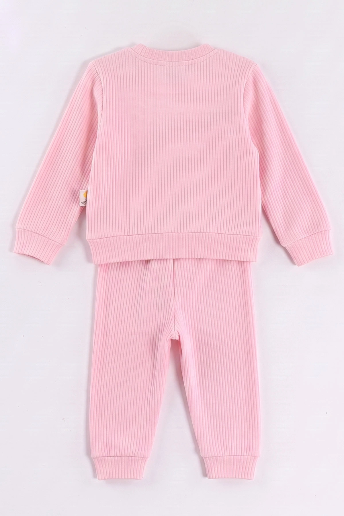 Pembe (6-24 Ay) Süzene Nakışlı  Kız Bebek 2'li  Takım 472649