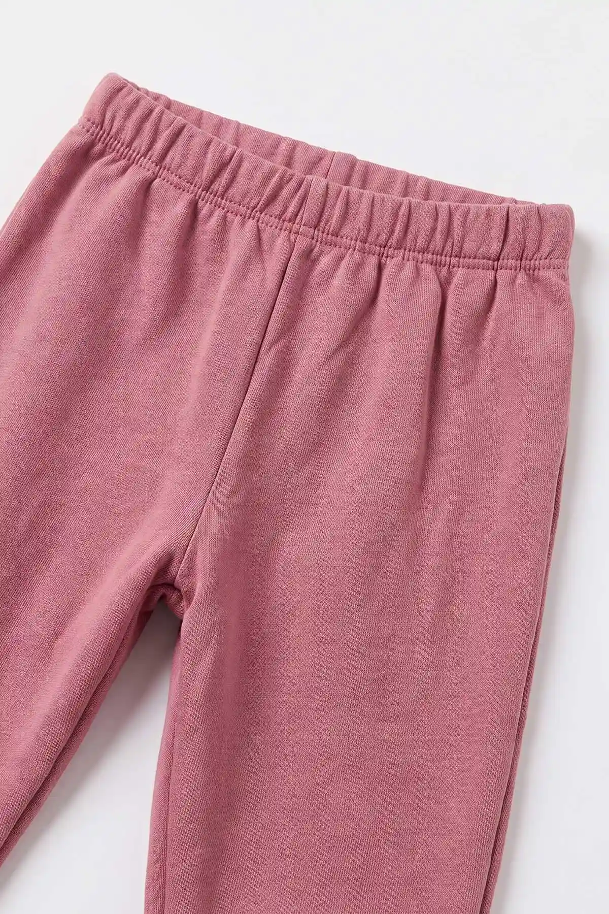 Pembe (9-36 Ay) Nakışlı 2 İp Kız Bebek Takım 480565