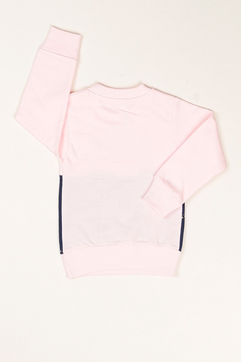 Pembe Birds Baskılı İçi Şardonlu Kız Çocuk Sweatshirt 80608
