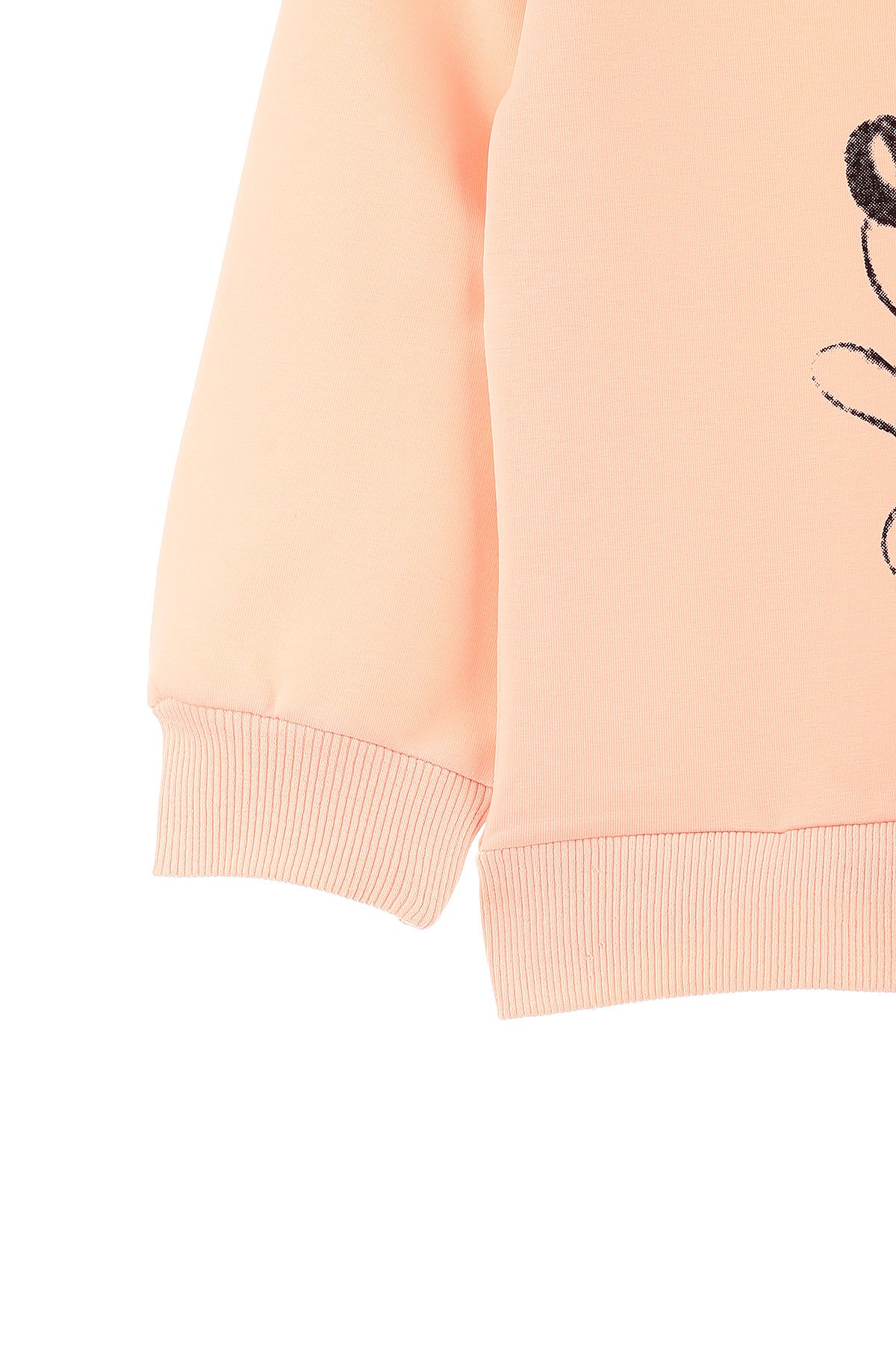 Pudra (1-4 Yaş) Çiçekli Fare Baskılı Kız Bebek Sweat 155273