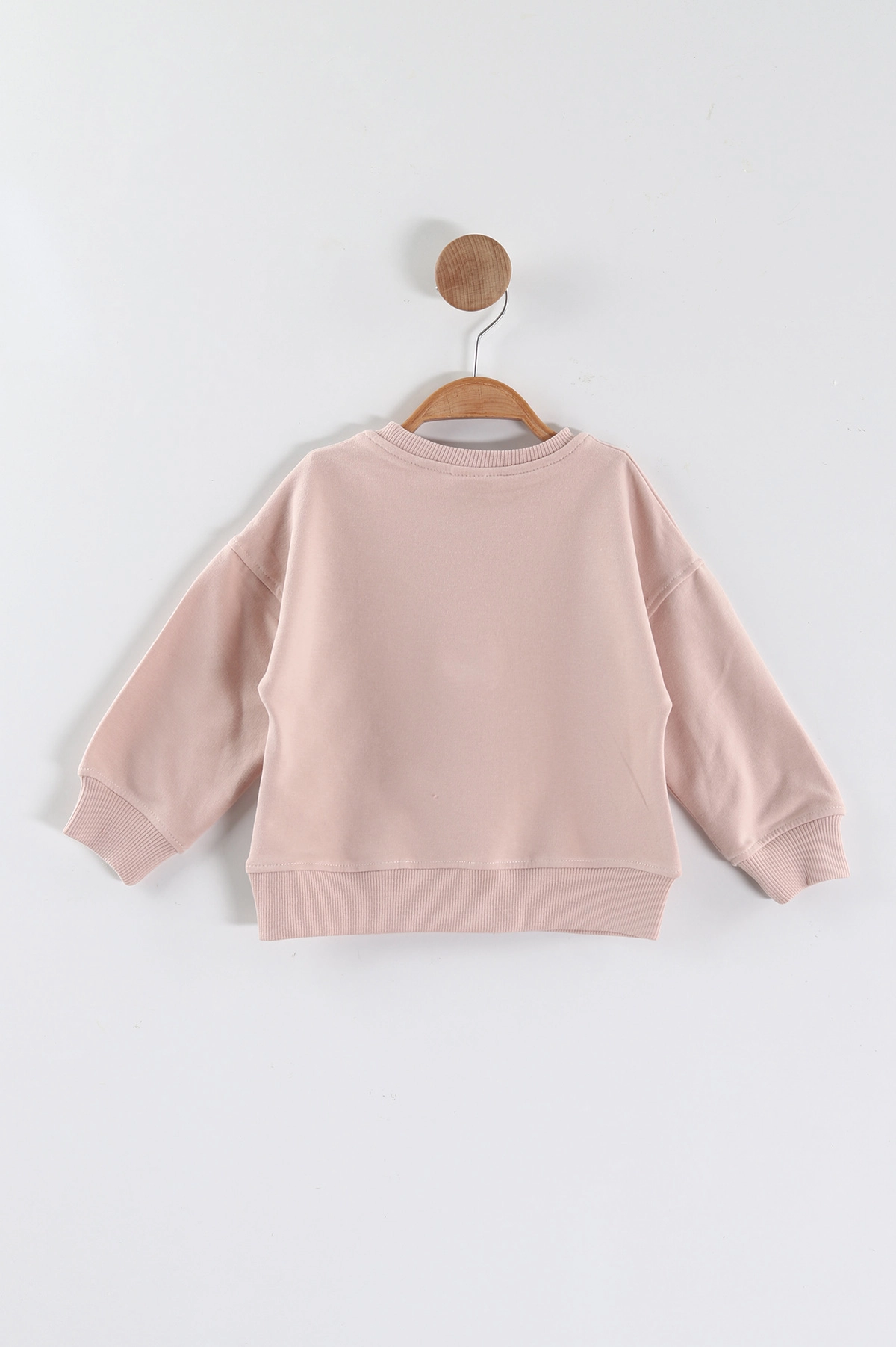 Pudra (1-4 Yaş)Çiçek Motifli Kız Çocuk Sweatshirt 432887