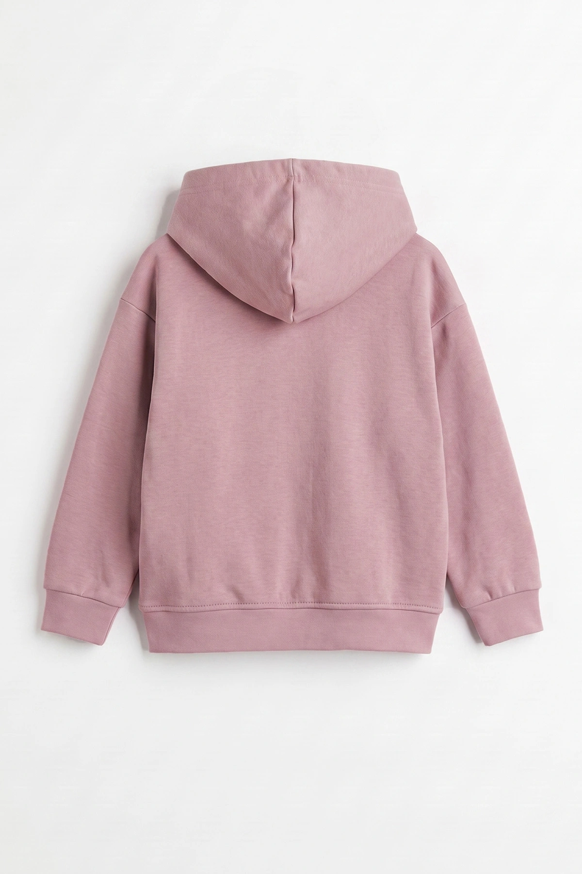 Pudra (3-12 Yaş) Baskılı 3 İp Şardonlu Kapüşonlu Kız Çocuk Sweatshirt 473950