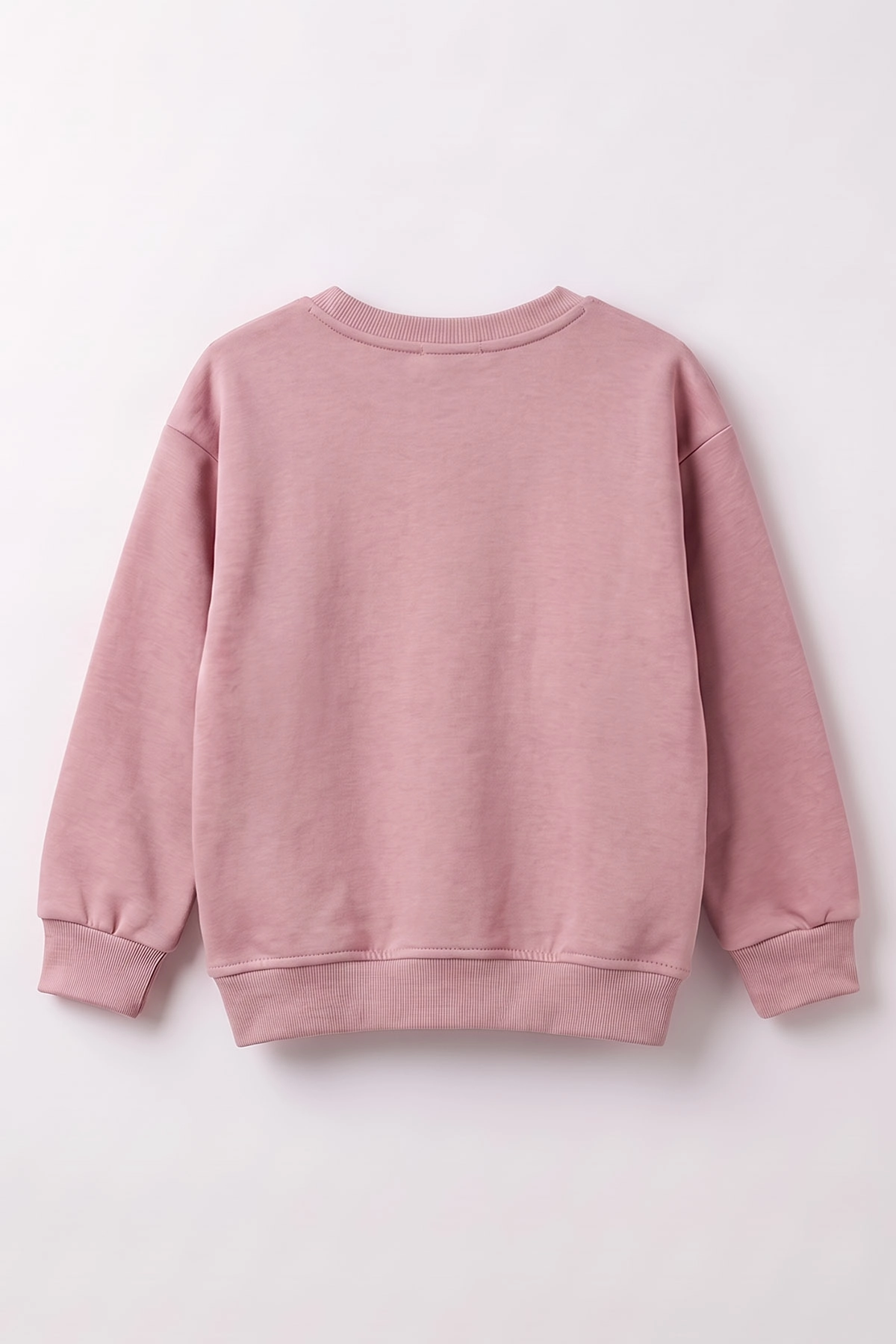 Pudra (3-12 Yaş) Yaprak Nakışlı 3 İp Şardonlu Kız Çocuk Sweatshirt 478773