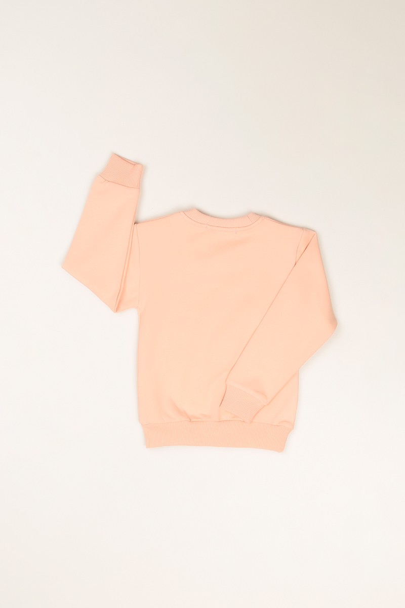 Pudra (3-7 Yaş) She Taş Baskılı Kız Çocuk Sweatshirt 82698