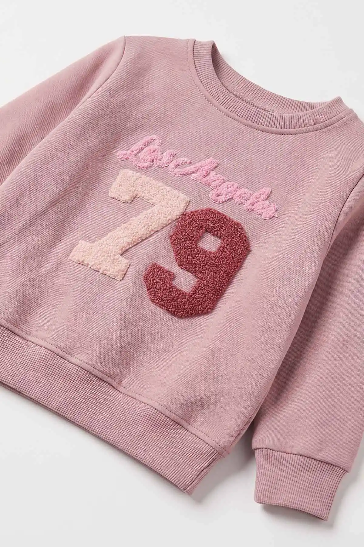 Pudra (3-7 Yaş) Süzene 79 Nakışlı 3 İp Şardonlu Kız  Çocuk Kışlık Takım 482931