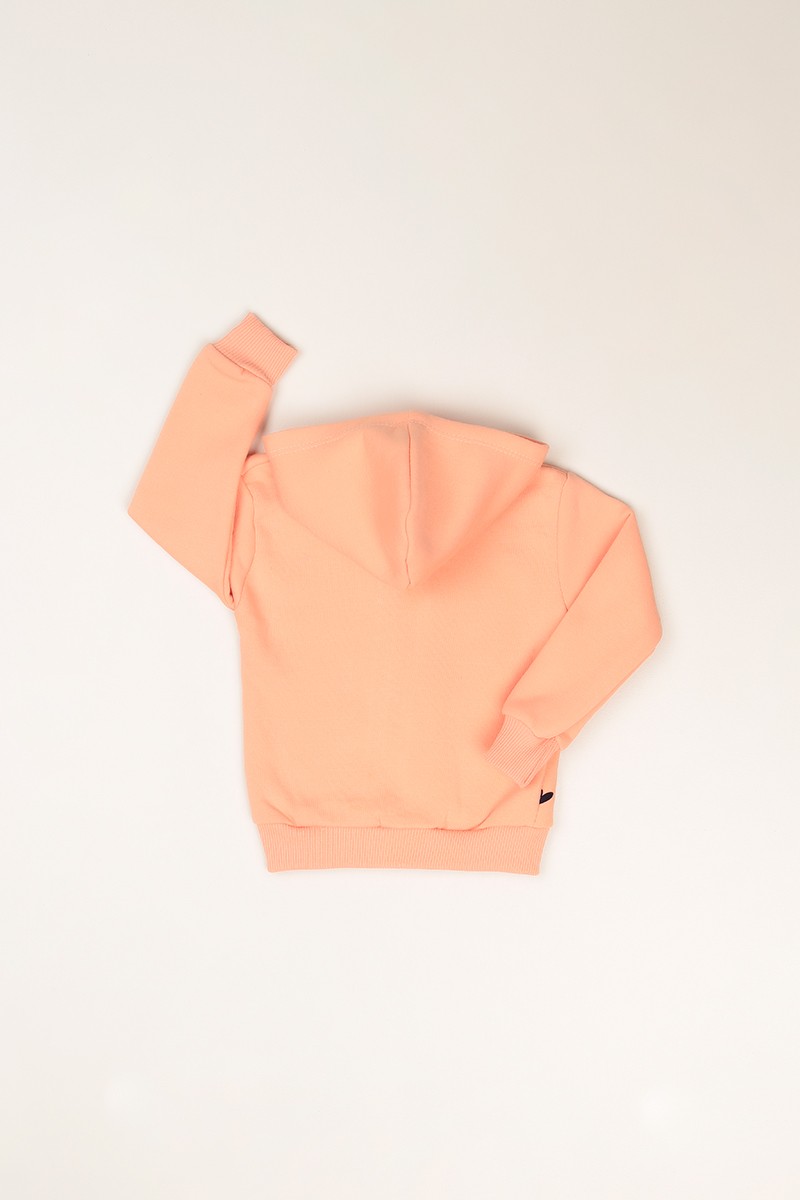 Pudra (3-7Yaş)Fermuarlı Şardonlu Kız Çocuk Sweat 82354