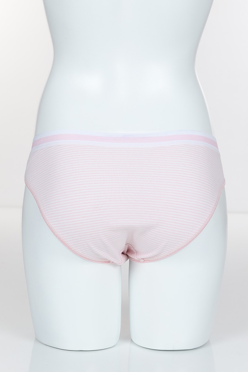 Pudra 4316 Bikini Love Baskılı Çizgili Külot 102262