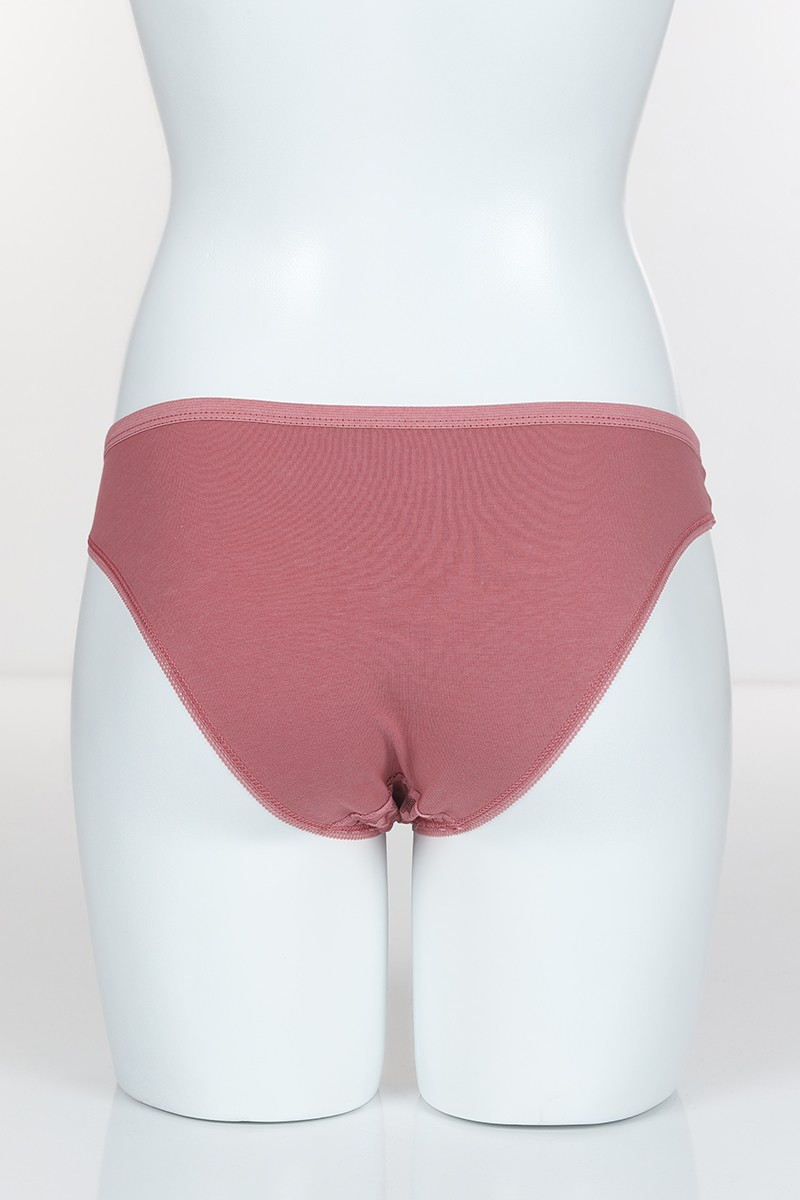 Pudra 6384 Bikini Ön Dantel Arka Pamuk Külot 102312