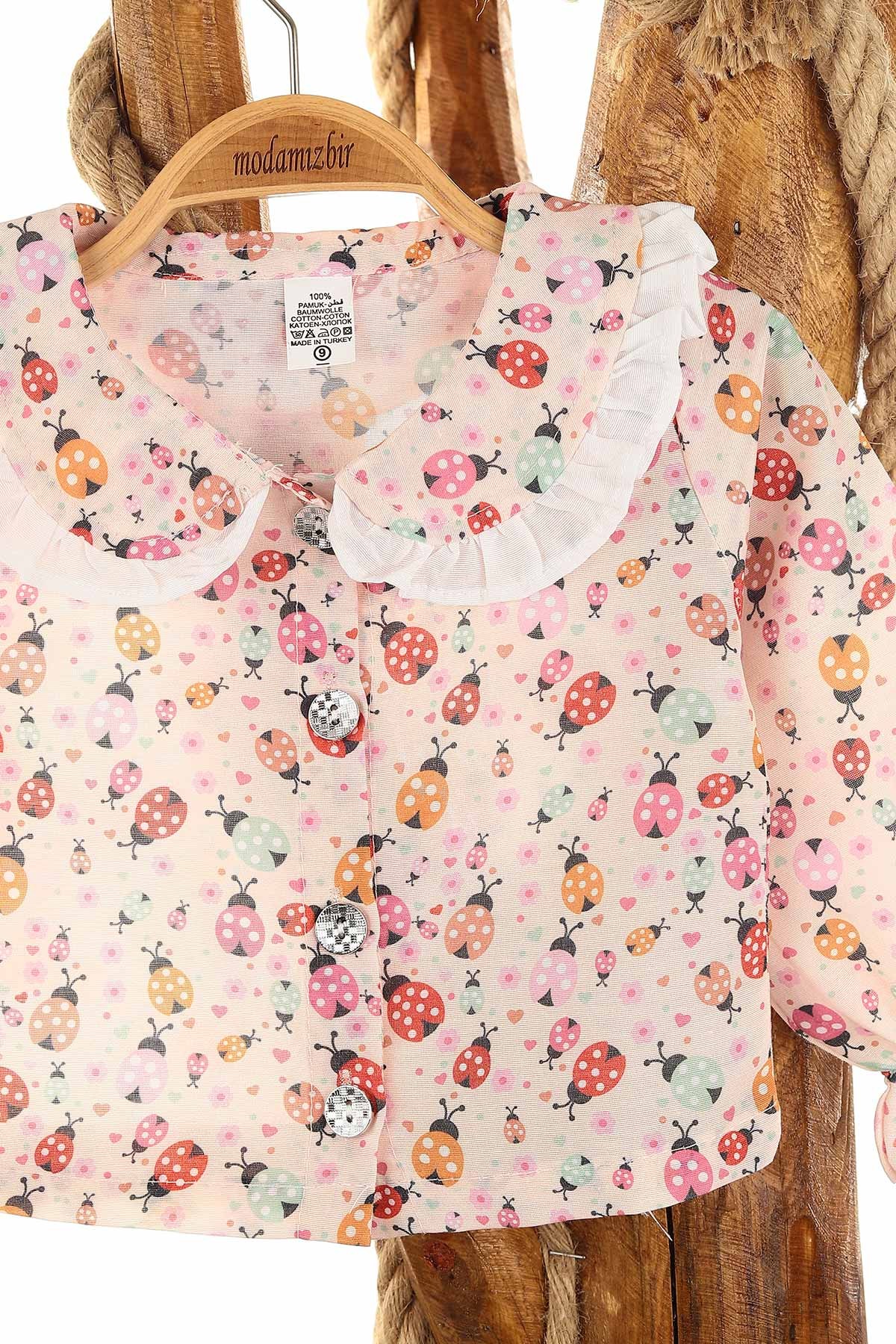 Pudra (9-24 Ay) Ayı Oyuncaklı Uğur Böceği Baskılı Kız Bebe Takım 156659