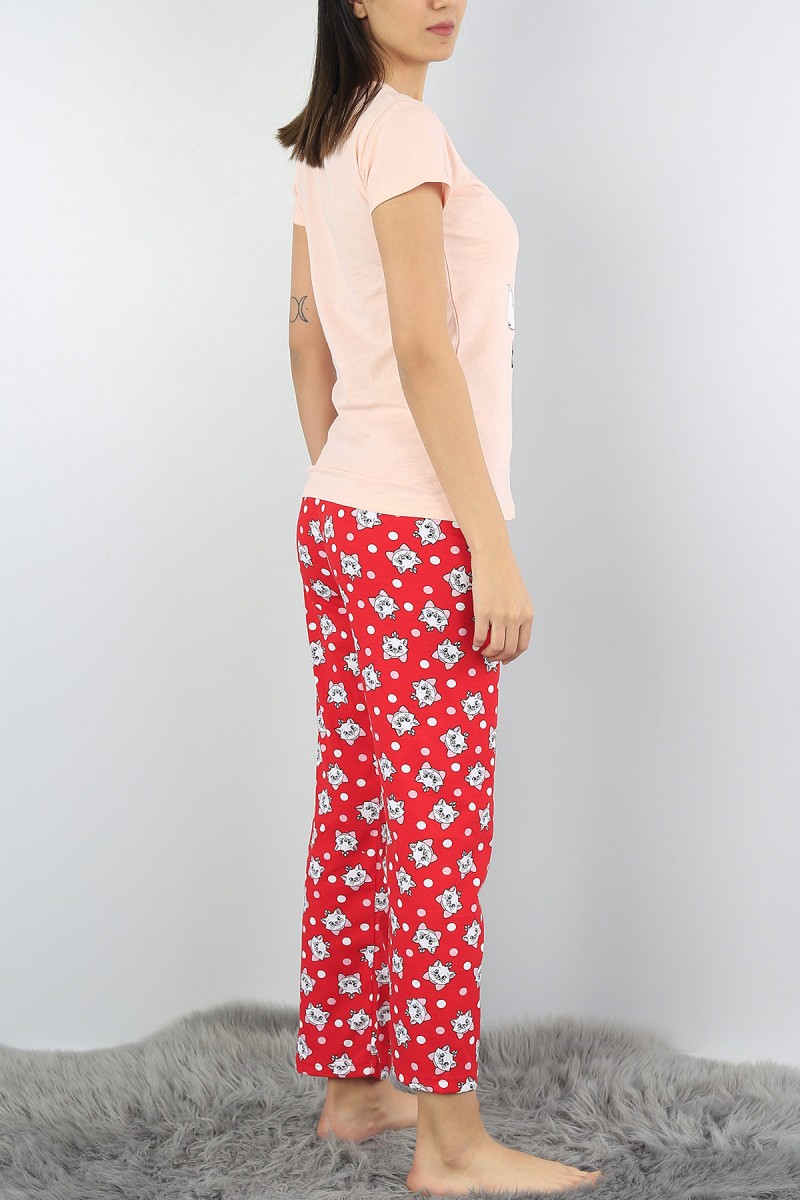 Pudra Baskılı Bayan Pijama Takımı 54416