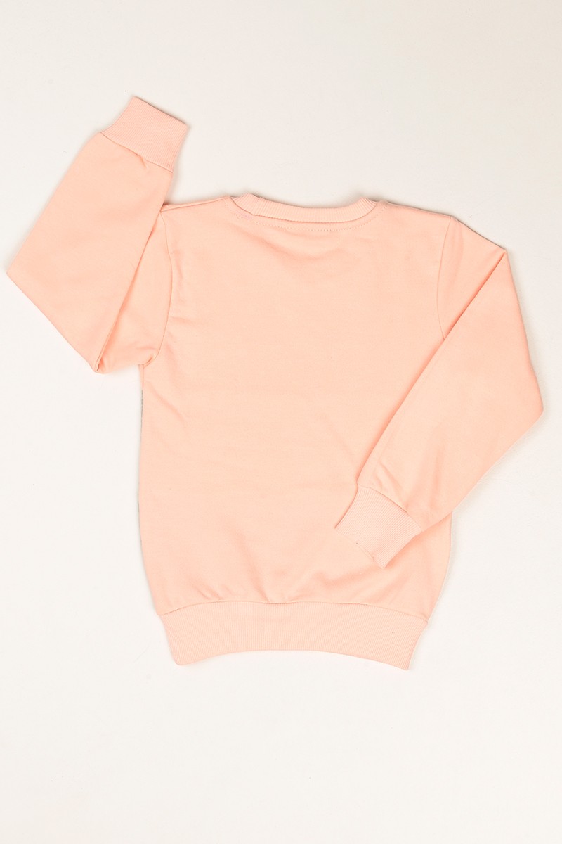 Pudra Baskılı İçi Şardonlu Kız Çocuk Sweat 80660