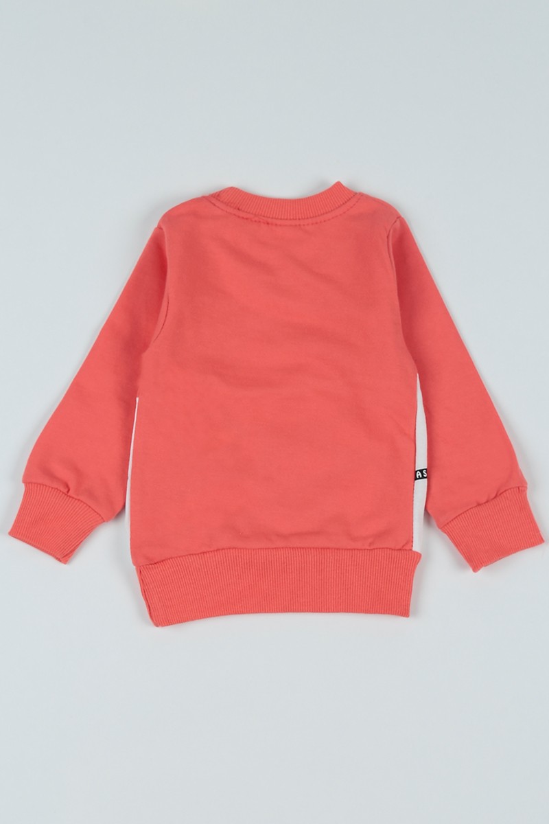 Pudra Birds Baskılı İçi Şardonlu Kız Çocuk Sweatshirt 80606