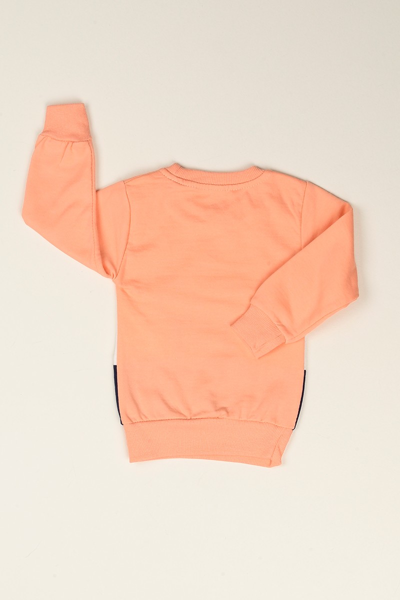 Pudra Pul İşlemeli Şardonlu Kız Çocuk Sweat 77534