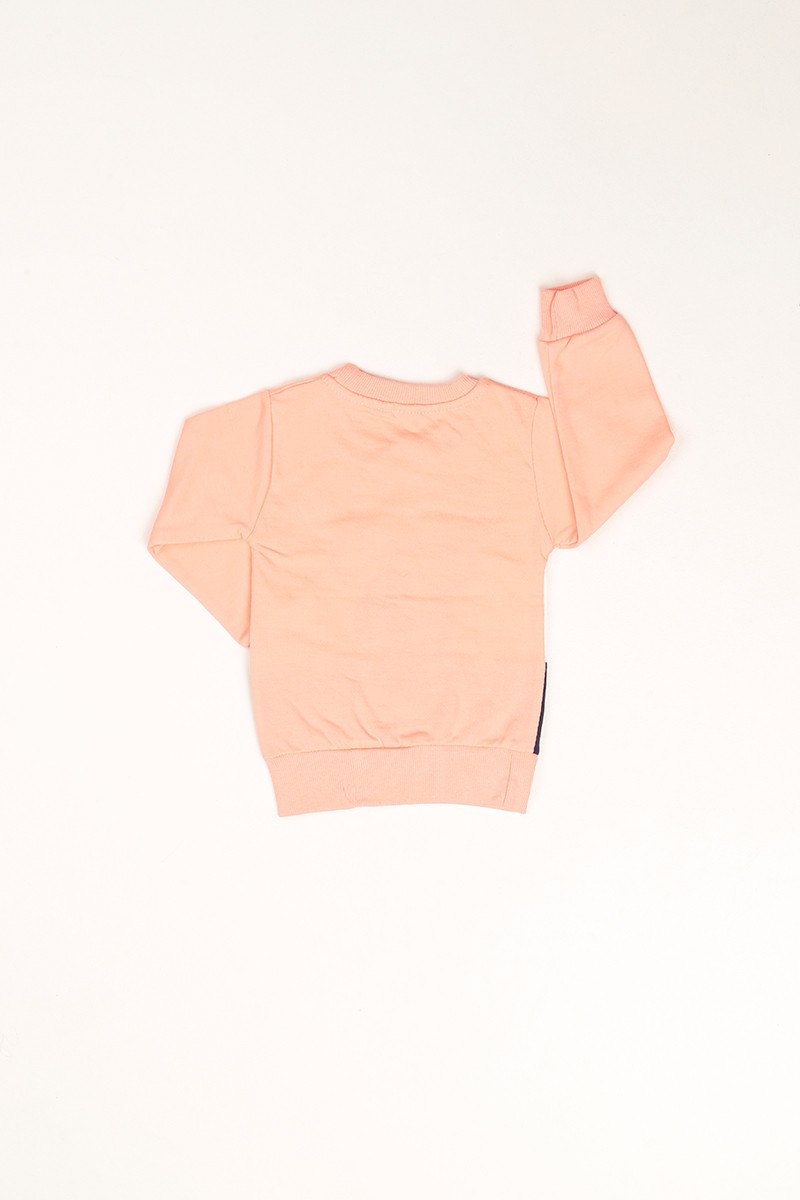 Pudra Pul ve Nakış İşlemeli Şardonlu Kız Çocuk Sweat 80779