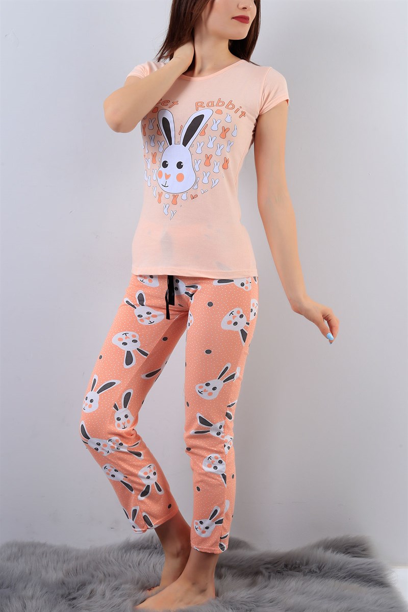 Pudra Resimli Bayan Pijama Takımı 15871B